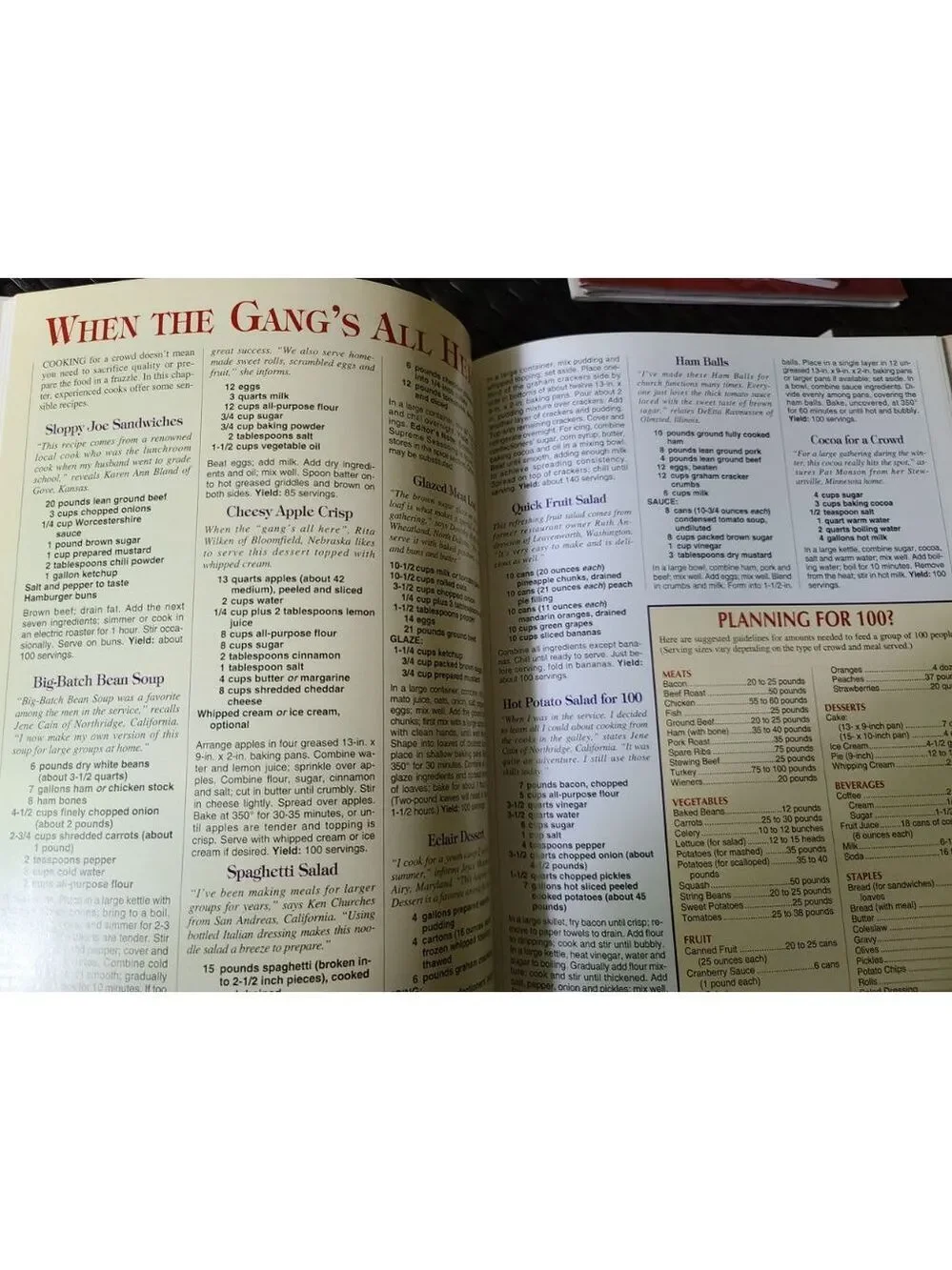 Vintage 1996 Recipe Book Taste of Home Hardcover